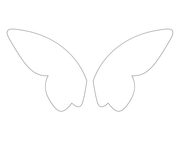 向量幻想蝴蝶的翅膀孤立在白色图片下载