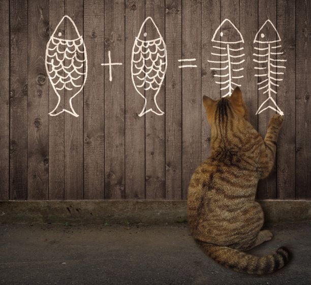 凯特写了一个数学方程图片下载