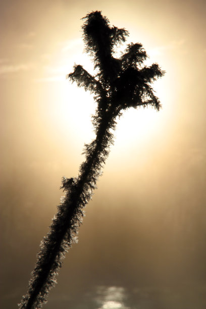 水晶碎片图片下载