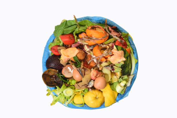 有机回收容器图片下载