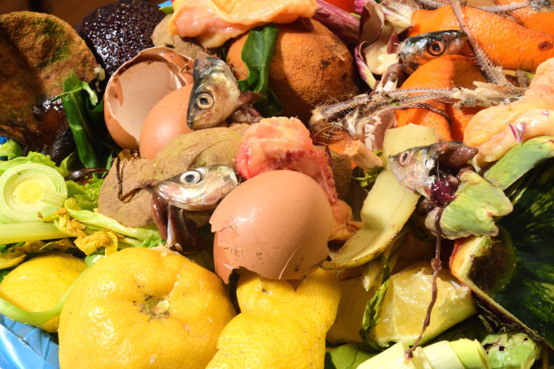 有机回收容器图片下载