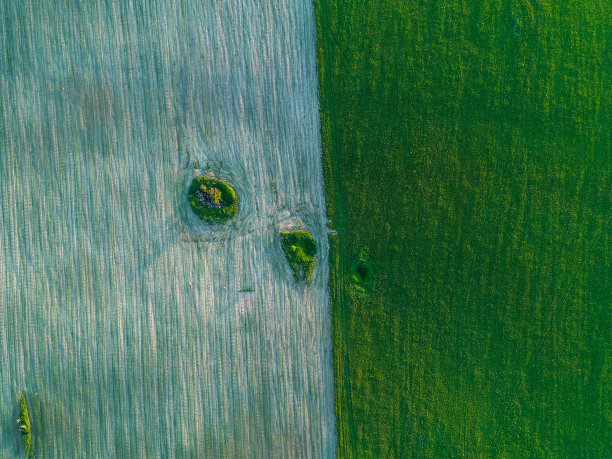 美丽的几何形状的田野绿色和棕色照片从高处图片下载