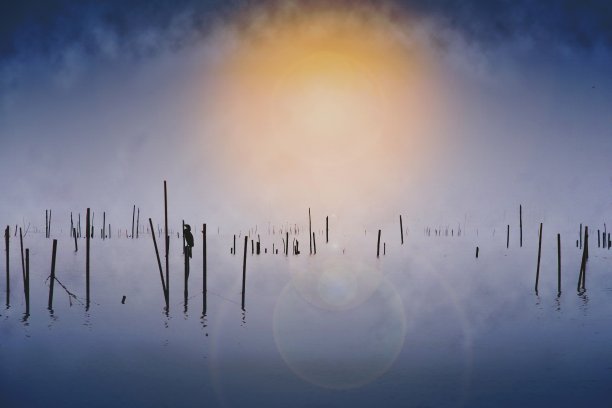 木塔在平静的水域或海面上，早晨有雾。树桩和船在雾和阳光下的海上。一只鸬鹚坐在杆子上图片下载