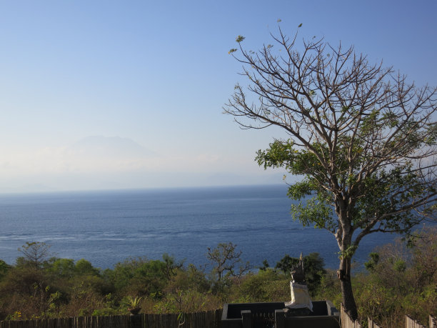 美丽的早晨图片下载