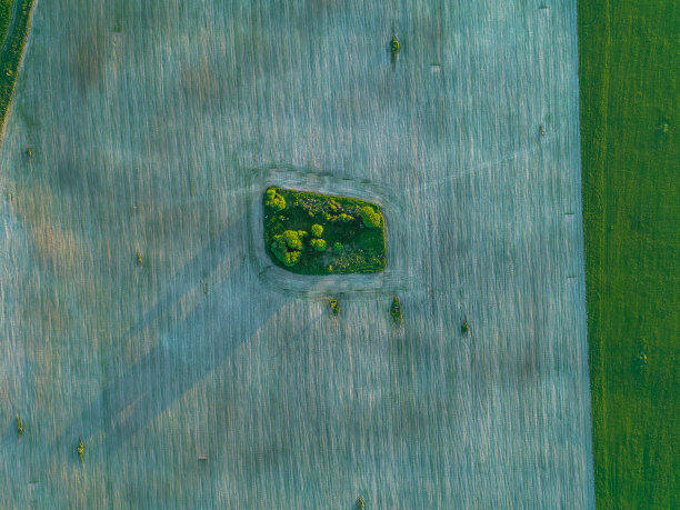 美丽的几何形状的田野绿色和棕色照片从高处图片下载