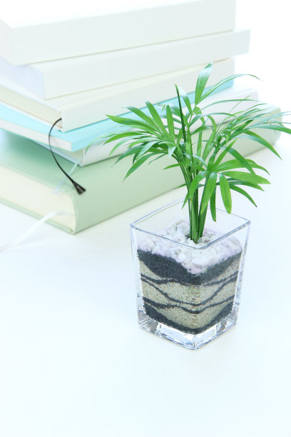 书籍和绿色图片下载