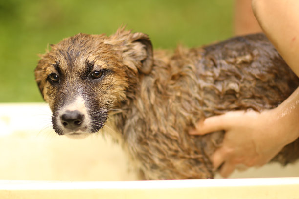 孩子们在浴缸里洗手的特写照片图片下载