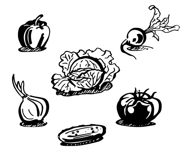 蔬菜设置图片下载