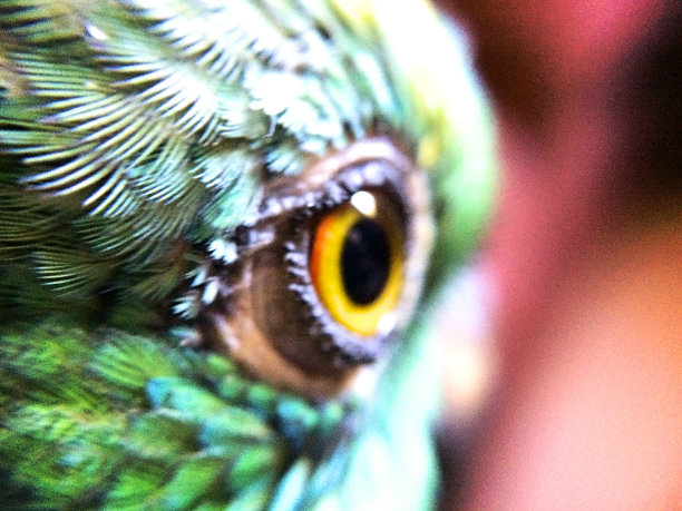 看着我图片下载