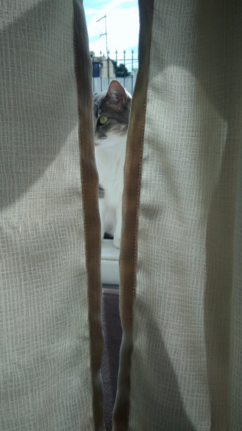 加塔时间图片下载