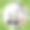 不同的动物在竹子框架内图片下载
