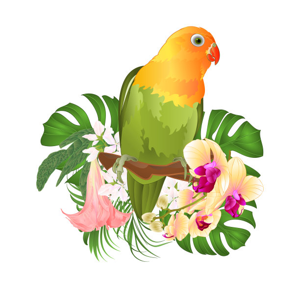 鹦鹉爱鸟热带鸟站在树枝和蒲甘菊与黄兰花在白色背景矢量插图可编辑图片下载