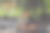 一个穿衬衫戴眼镜的学生在城市公园看书图片下载