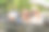 美丽的夫妇从他们的敞篷车在自然中自画像。图片下载