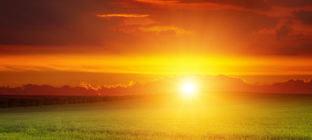 广阔的日出景观在绿色的麦田。图片下载