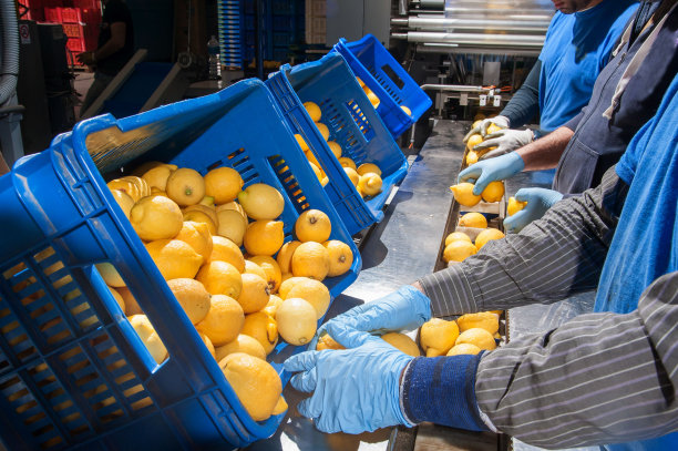 柠檬的加工图片下载