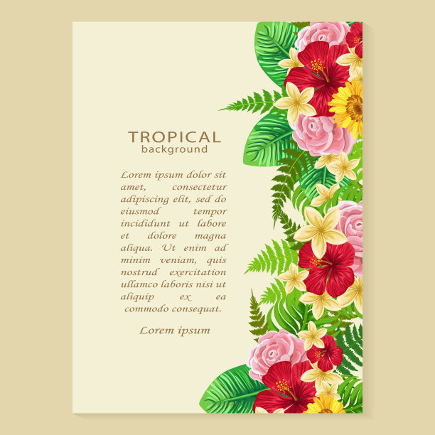 热带框架图片下载