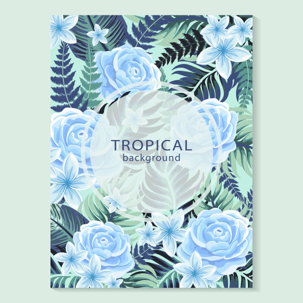 热带框架图片下载