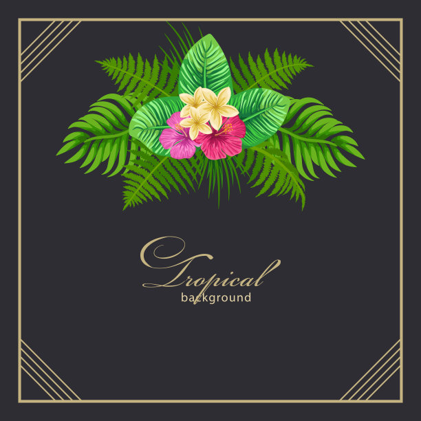 热带框架图片下载