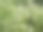 植物图片素材ID：320148198