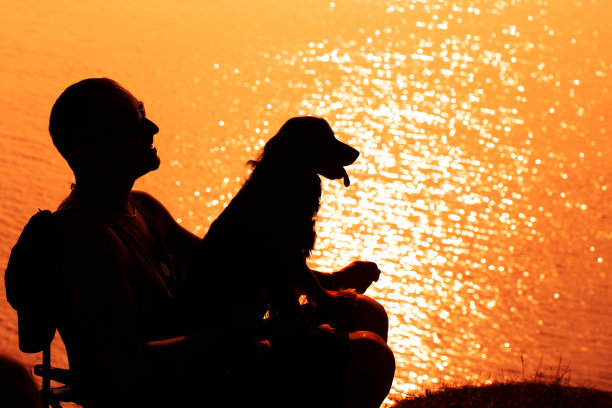 日落时，人与狗的剪影图片下载