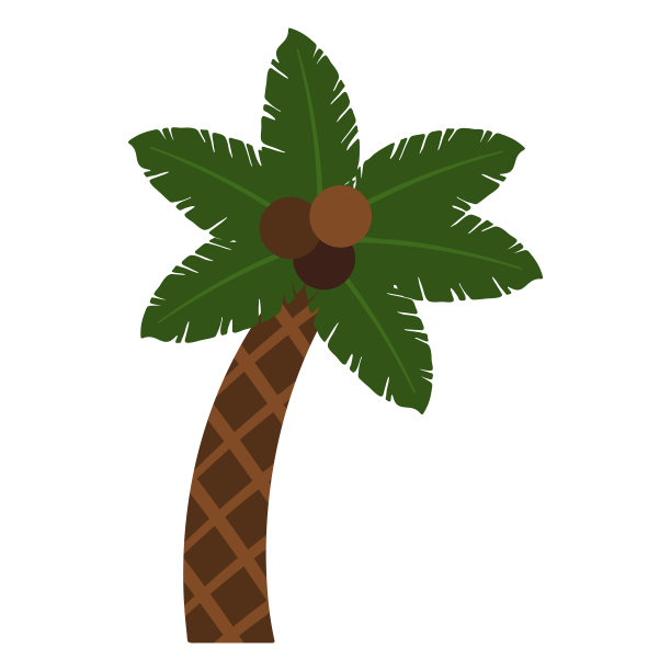 棕榈树图片下载