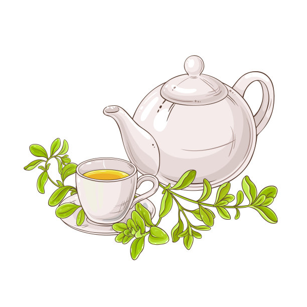 马郁兰茶插图图片下载