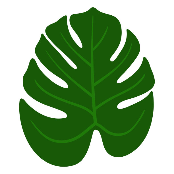 棕榈叶图片下载