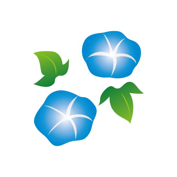 牵牛花插图(蓝色，夏花，花)图片下载