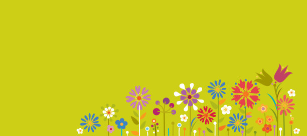 夏天花的背景图片下载