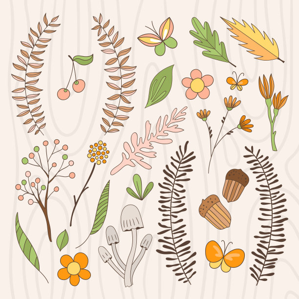 森林插图与自然元素:花卉，蘑菇，浆果和花环图片下载