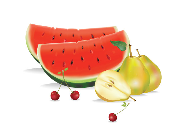 各种水果插图收集孤立在白色图片下载