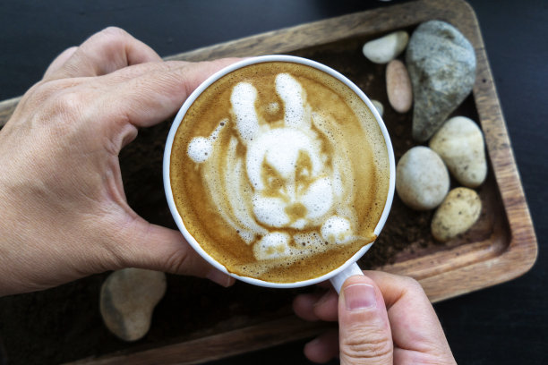 拉花:兔子图案图片下载