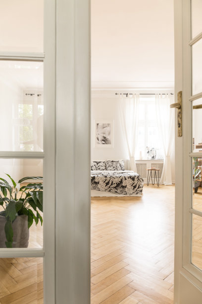 透过门可以看到宽敞明亮的卧室内部，有图案的床和植物。真实的照片图片下载
