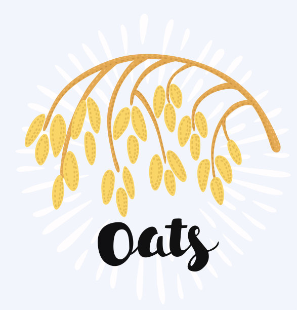 燕麦小穗图图片下载