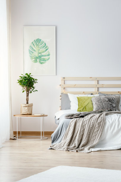 在简单明亮的卧室里，桌子上方的海报和植物，床上有毯子。真实的照片图片下载