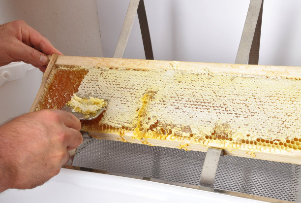 塑料桶蜂巢的开盖图片下载