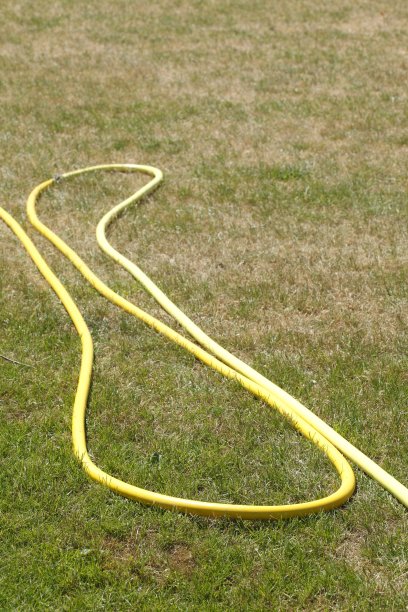 黄绿色水管小麦小麦图片下载