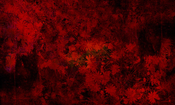 用照片拼贴技术制作的花卉/花卉图案的数字背景艺术。红色的使用占主导地位。图片下载