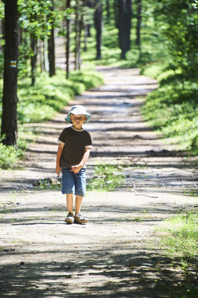 一个小男孩在穿过森林的小路上散步或徒步旅行图片下载