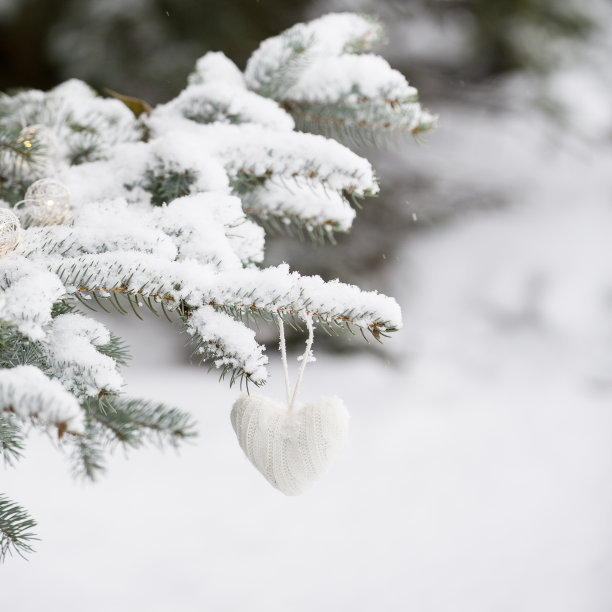 外面有雪的圣诞树上的漂亮装饰。庆祝，冬季和假期的概念图片下载
