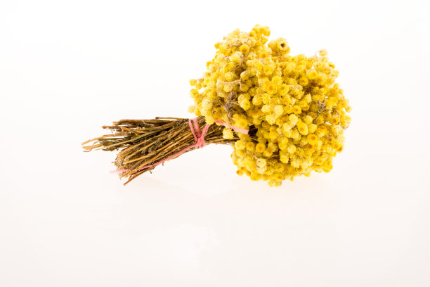 笔记本旁边的花图片下载