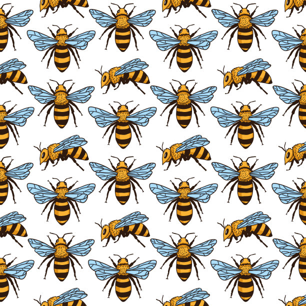 矢量无缝模式与蜜蜂。黑色和黄色纹理图片下载