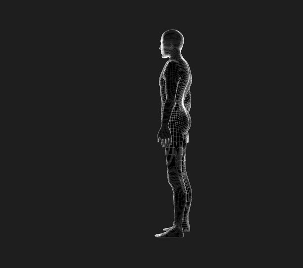 人体侧视图。线框模型在黑色，未来技术的人工智能概念，3d插图图片下载