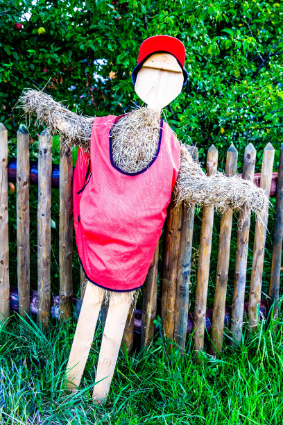 稻草人图片下载