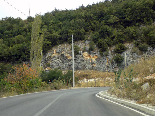 旁边有一棵白杨树，向右拐在山路上图片下载