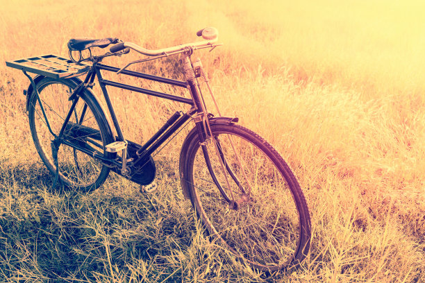 风景图片复古自行车与夏季草地在日落;古董过滤器风格。经典自行车，老式自行车风格的贺卡，明信片图片下载