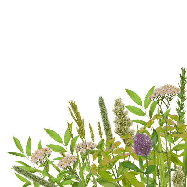 绿化卡片模板图片下载