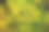植物图片素材ID：320286756