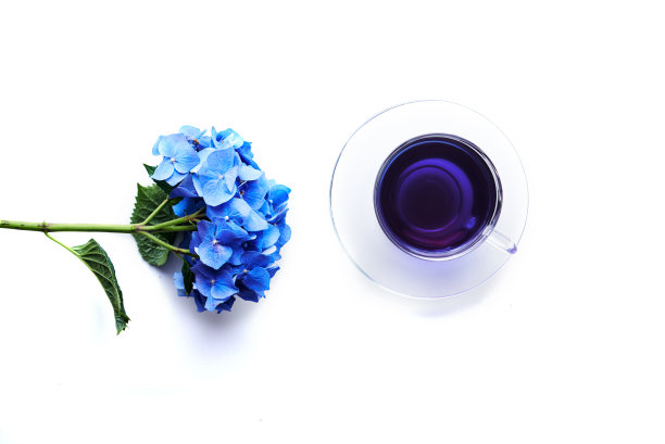 蝶豆花茶图片下载